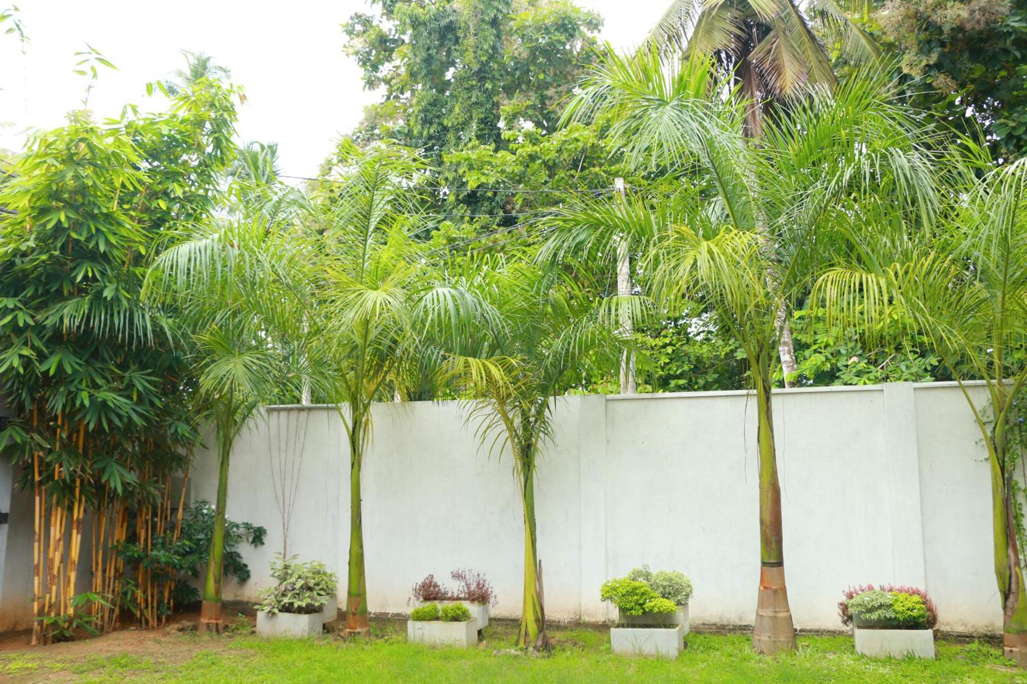 Venus Heaven Luxurious Villa Tangalle Exterior photo